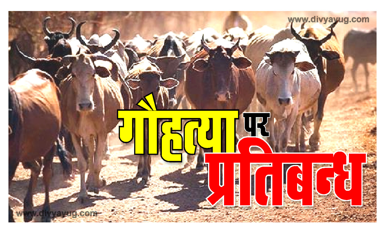 Ban on Cow Slaughter in Maharashtra